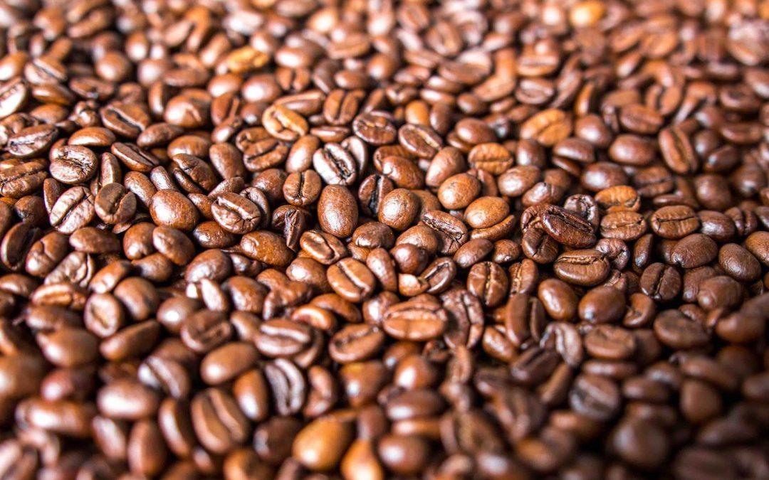 Secagem uniforme dos grãos de café